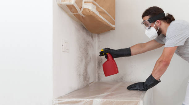Basement Mold Remediation treatment on basement walls in Montgomery Village